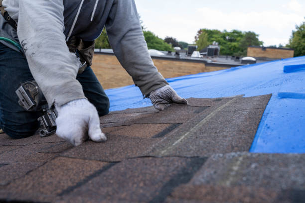 Best New Roof Installation  in Lincoln, AR